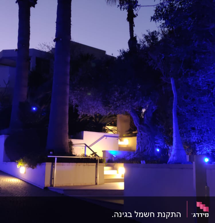כך נראית גינה בלילה אחרי עבודתו של שמעון 